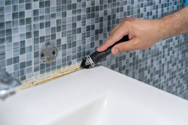 Best Toxic Mold Removal  in Pitcairn, PA